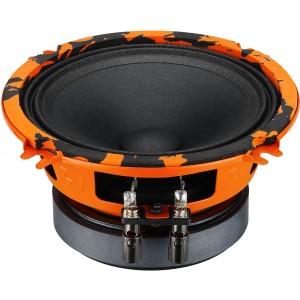 Автоакустика DL AUDIO GRYPHON PRO 130