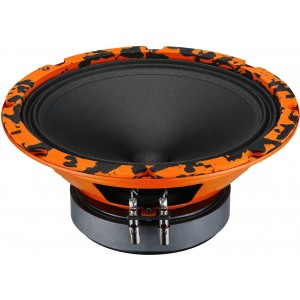 Автоакустика DL AUDIO GRYPHON PRO 200