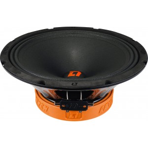 Автоакустика DL AUDIO RAVEN 250