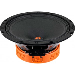 Автоакустика DL AUDIO RAVEN 200 V.2