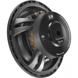 Автосабвуфер BLAM WS8120
